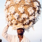 Økologisk fairtrade bomuld